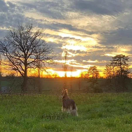 Chateau Du Grand Lucay Bourbon-lʼArchambault