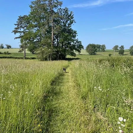 Chateau Du Grand Lucay Panzió Bourbon-lʼArchambault