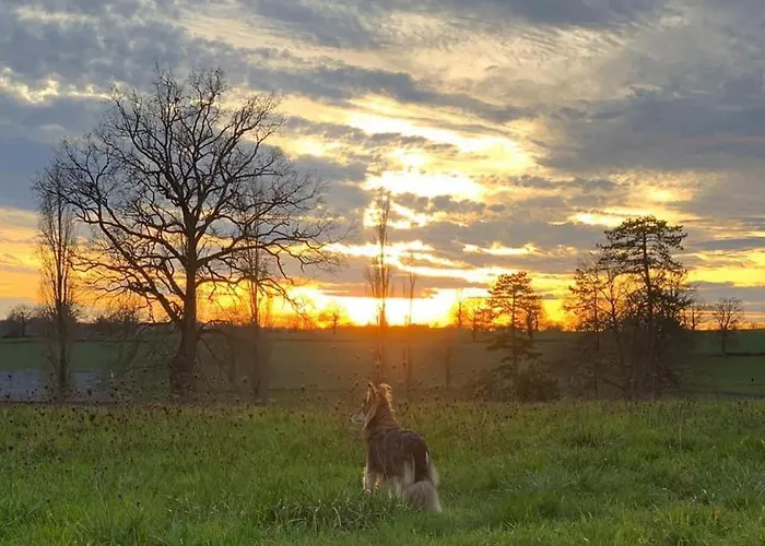 Chateau Du Grand Lucay Bourbon-lʼArchambault