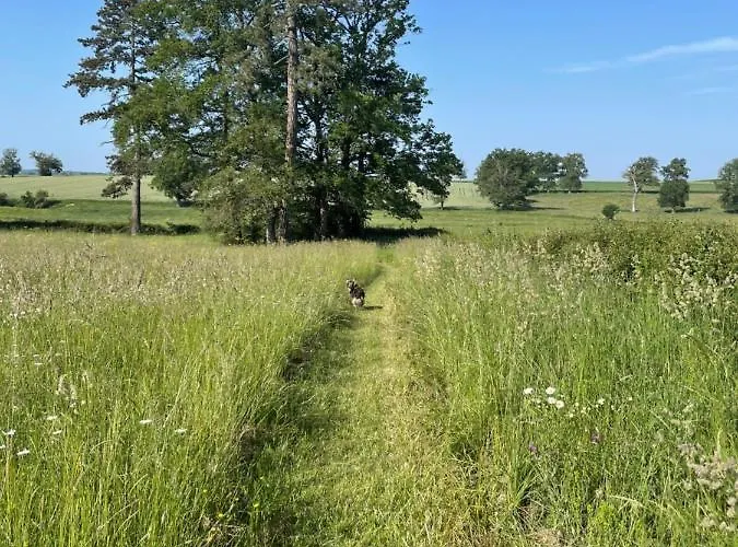 Chateau Du Grand Lucay לינה וארוחת בוקר Bourbon-lʼArchambault